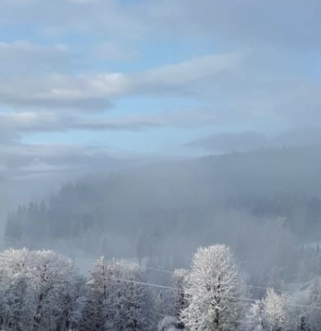 Die österreichische Autorin lässt ihre kleinen Helden die Natur hautnah erleben.