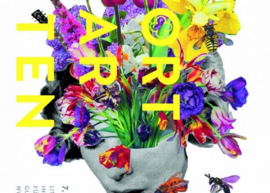 cms.fvpgv.390x280