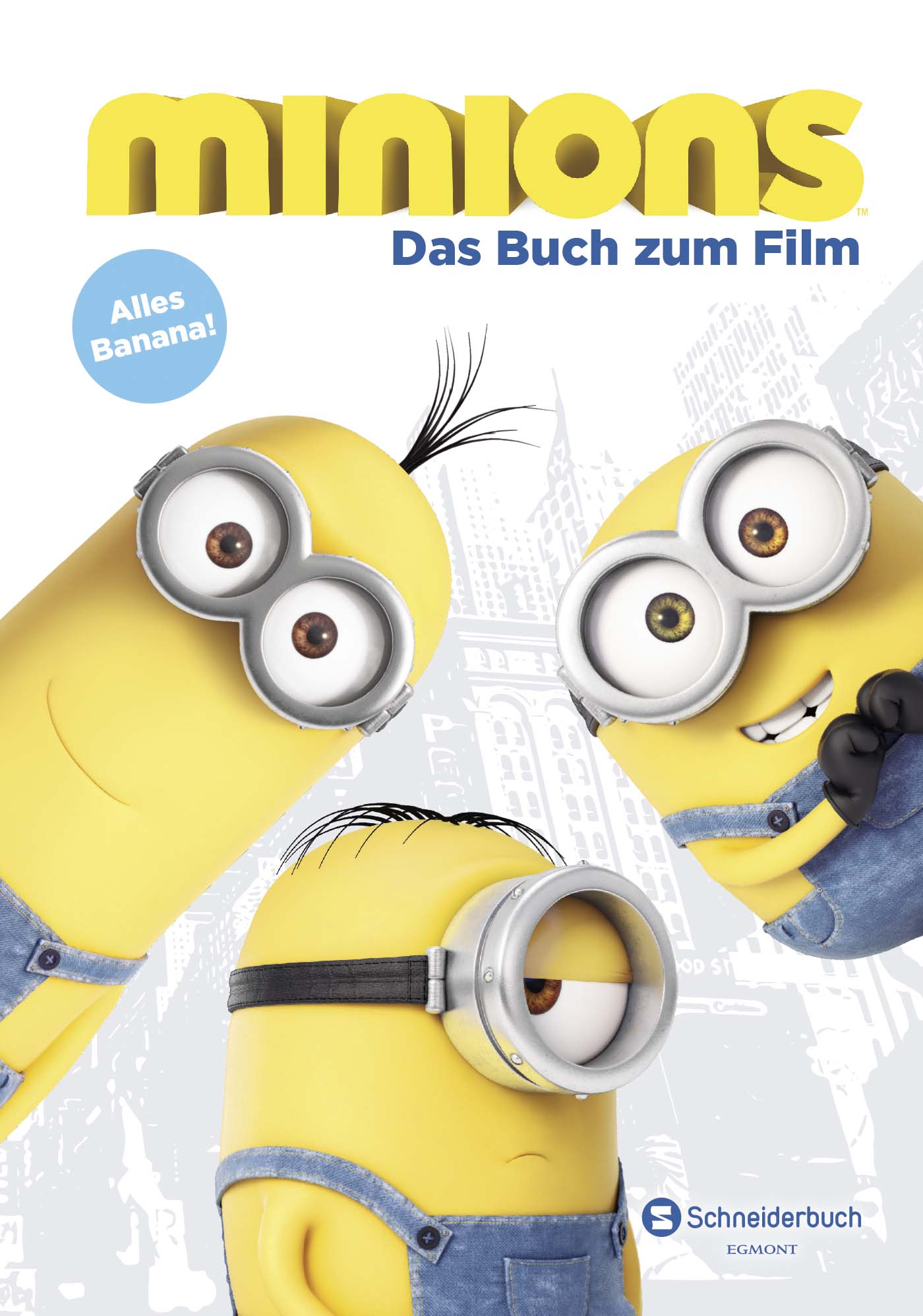 Mainions Das Buch zum Film