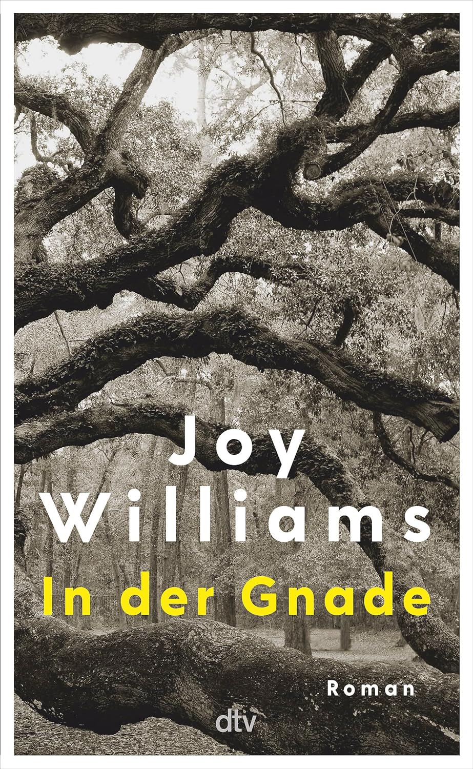 In der Gnade (State of Grace) von Joy Williams (1973)