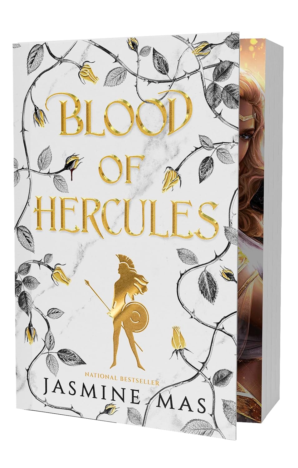 Cover des Fantasyromans „Blood of Hercules“