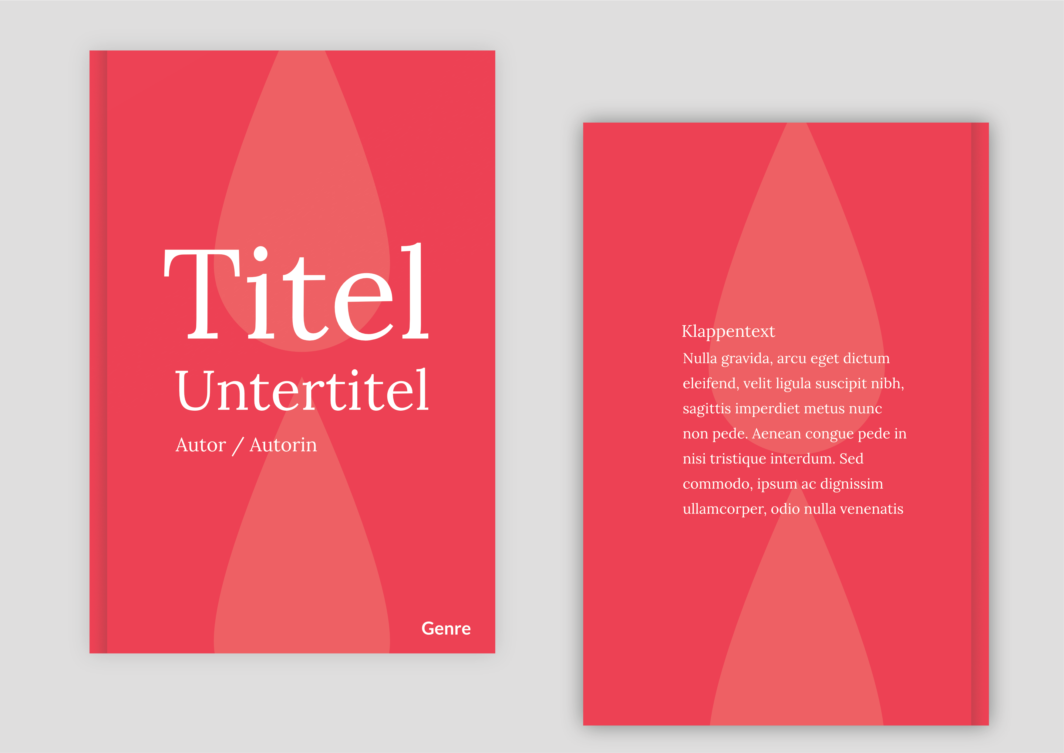 Beispiel Buchcover Roman – ruhiges, minimalistisches Design